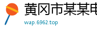 黄冈市某某电子商务有限公司